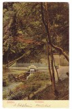 261 - CODLEA, Brasov, Park and Waterfall, Romania - old postcard - used - 1908