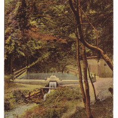 261 - CODLEA, Brasov, Park and Waterfall, Romania - old postcard - used - 1908