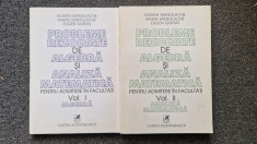 PROBLEME REZOLVATE DE ALGEBRA SI ANALIZA MATEMATICA - Manolache (2 volume) foto