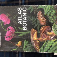 Atlas botanic 1985, Ed. Didactica si Pedagogica, stare FB