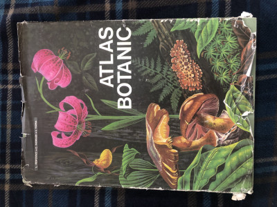 Atlas botanic 1985, Ed. Didactica si Pedagogica, stare FB foto