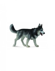 Figurina Caine Husky Siberian L Collecta foto