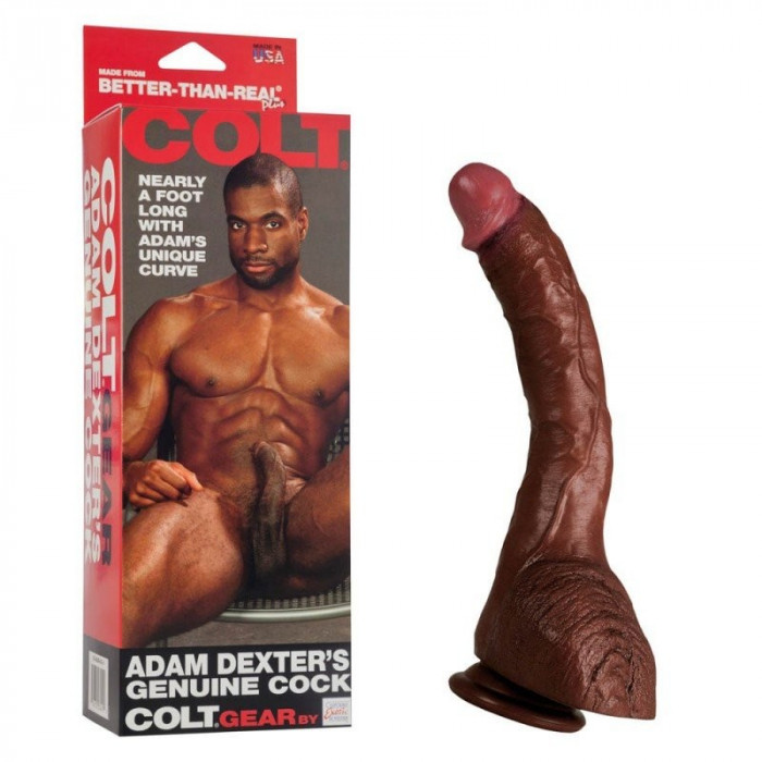 Dildo COLT Adam Dexters Cock