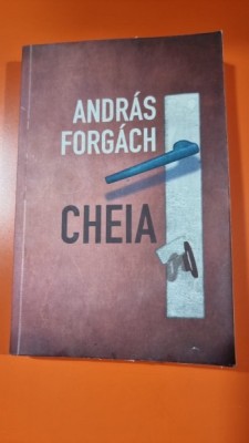 Cheia - Andras Forgach foto