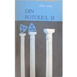 DIN FOTOLIUL 13 (CU DEDICATIA AUTORULUI)-STEFAN OPREA-225034