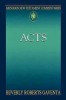 Abingdon New Testament Commentary - Acts