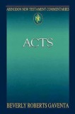 Abingdon New Testament Commentary - Acts