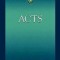 Abingdon New Testament Commentary - Acts
