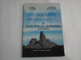 PETROGRAFIA MEZOZOICULUI DIN ,,SINCLINALUL MARGINAL EXTERN - C. GRASU, C. CATANA, I. TURCULET, MARILENA NITA
