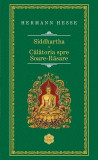 Siddhartha, Hermann Hesse - Editura RAO Books