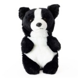Catelus bebelus Border Collie de plus 17 cm in cutie , Living Nature