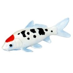 Peste Koi