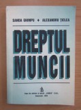 Sanda Ghimpu, Alexandru Ticlea - Dreptul muncii