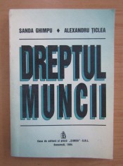 Sanda Ghimpu, Alexandru Ticlea - Dreptul muncii