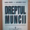 Sanda Ghimpu, Alexandru Ticlea - Dreptul muncii