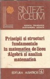 Principii si structuri fundamentale in matematica de liceu. Algebra si analiza matematica