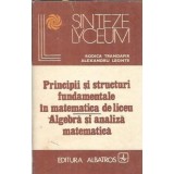 Principii si structuri fundamentale in matematica de liceu. Algebra si analiza matematica - Rodica Trandafir