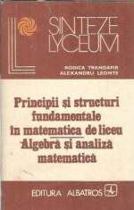Principii si structuri fundamentale in matematica de liceu. Algebra si analiza matematica - Rodica Trandafir