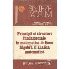 Principii si structuri fundamentale in matematica de liceu. Algebra si analiza matematica - Rodica Trandafir