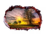 Cumpara ieftin Autocolant decorativ, Gaura in perete, Multicolor, 85 cm, 681STC-1, animale si pasari, Oem