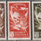 Guinea Spaniola 1951 - Pisici Salbatice 3v MNH