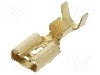 Terminal tip plat, pentru surub {{Orificiu pentru &amp;#351;urub}}, IMP - 674.08.00.3