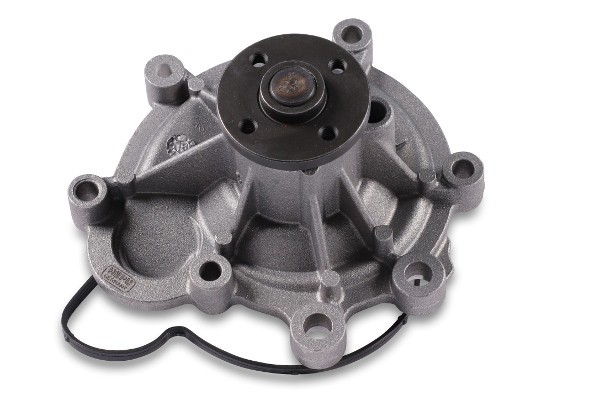 HEPU P1511 Pompă de apă, răcire motor