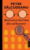 Bunicul si lacrima din carburator - Petre Salcudeanu - Publisol