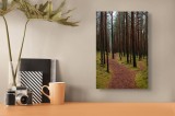 Tablou Canvas, "Cărarea misterioasă prin pădurea liniștită", Pădure, Cărare, Copaci, Mușchi, Natură, Tranquilitate, Verdeață, Peisaj, Aventura, Explor