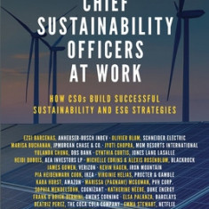 Chief Sustainability Officers At Work: How CSOs Build Successful Sustainability and ESG Strategies