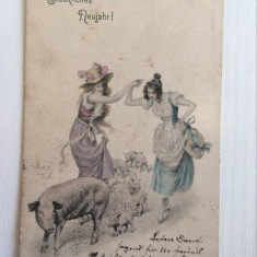 Carte postala veche, ilustratie cu femei tinere cu porci, aprox 1900, circulata