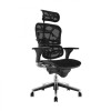 SCAUN ERGONOMIC ERGOHUMAN PDH