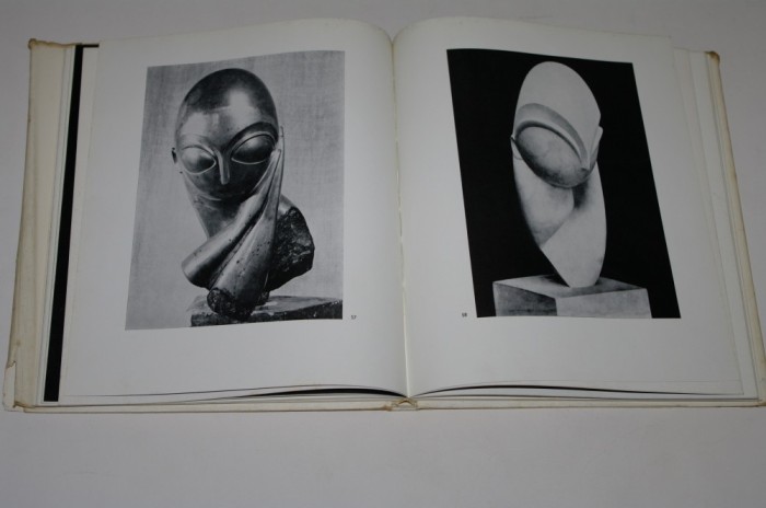 Constantin Brancusi - Mircea Deac - 1966
