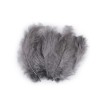 Set 20 pene decorative strut, lungime 9-16 cm, Gri