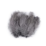 Set 20 pene decorative strut, lungime 9-16 cm, Gri