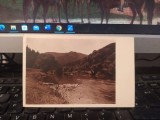 Valea Bistriței, Moldova, circa 1925, 205, Necirculata, Fotografie