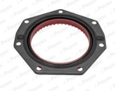 PAYEN NF883 Simering, arbore cotit