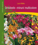 Orhideele. Minuni multicolore - Paperback brosat - Lutz R&ouml;llke - Casa