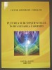 Victor Gheorghe Codleanu - Puterea subconștientului in realizarea carierei