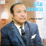 Sile Dinicu &ndash; Nopti cu luna
