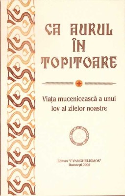 CA AURUL IN TOPITOARE. VIATA MUCENICEASCA A UNUI IOV AL ZILELOR NOASTRE-NECUNOSCUT-278818 foto