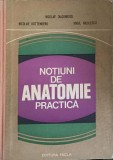 NOTIUNI DE ANATOMIE PRACTICA-NICOLAE DIACONESCU, NICOLAE ROTTENBERG, VIRGIL NICULESCU