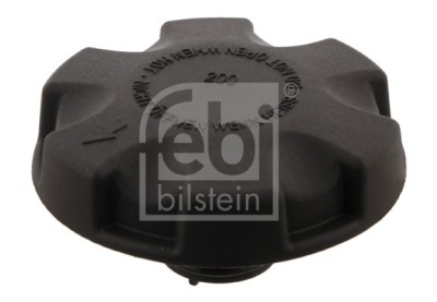 FEBI BILSTEIN 29607 buson,vas expansiune foto