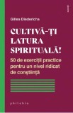 Cultiva-ti latura spirituala! - Gilles Diederichs