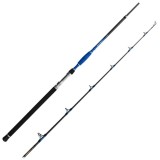 Cumpara ieftin Lanseta Delphin Hazard, 2.55m, 500g, 2 tronsoane
