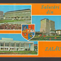 CPIB 20541 CARTE POSTALA - SALUTARI DIN ZALAU, MOZAIC, STEMA