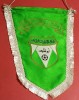 Fanion fotbal - din zona araba