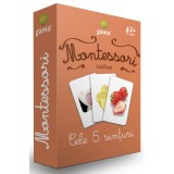 Cele 5 Simturi, - Editura Gama