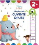 Primele mele cuvinte opuse/***