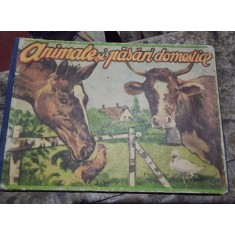 Animale si Pasari Domestice